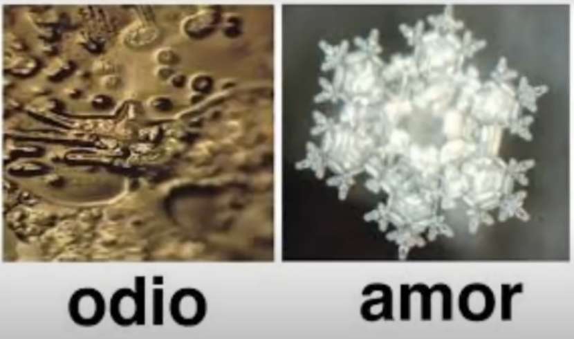 muestras microscopicas de agua con diferentes reacciones