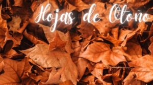 hoponopono hojas de otoño